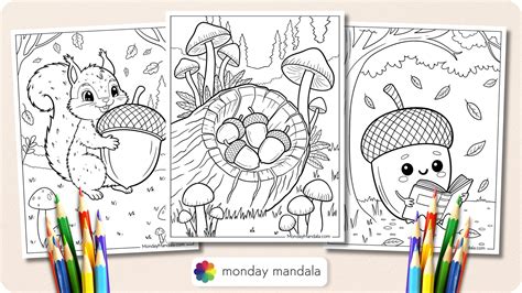 20 Acorn Coloring Pages (Free PDF Printables)