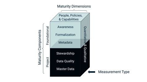 Data Management Maturity Assessment 的图像结果