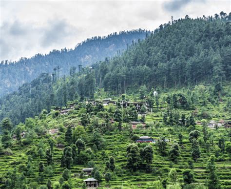 Best Budget Stay in Kasol | Jungle by Whoopers