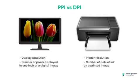 DPI vs PPI: What's the Difference?