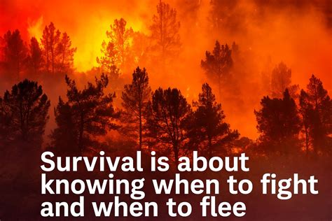 How To Use Everyday Items For Disaster Survival