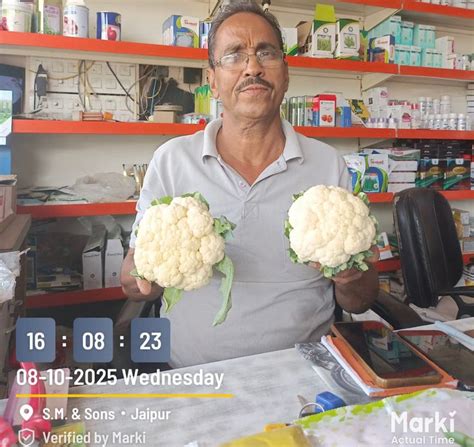 CFL 6356 Hybrid Cauliflower Seeds by Syngenta – Buy Online at ...