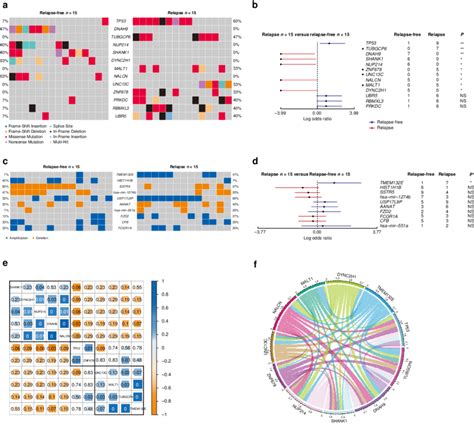 Image result for Copy Number Variation Mutation