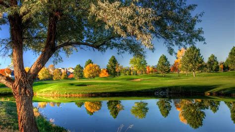 Free High Resolution Background 的图像结果