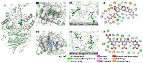 Exploring the Blood Glucose-Lowering Potential of the Umami Peptides ...