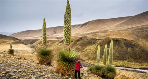 Image result for To Run Python Program in Laptop