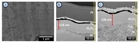 Conceptual Progress for Explaining and Predicting Self-Organization on ...