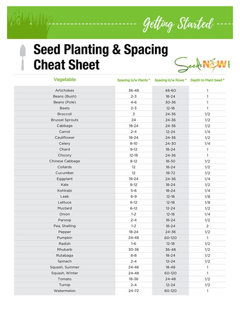 PRINTABLE! Seed Planting & Spacing Cheat Sheet | Planting seeds, Seeds ...