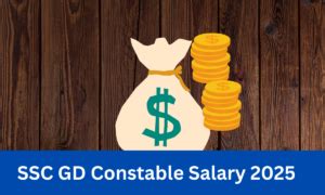 SSC CGL Assistant Audit Officer (AAO): SSC CGL AAO Salary Structure ...