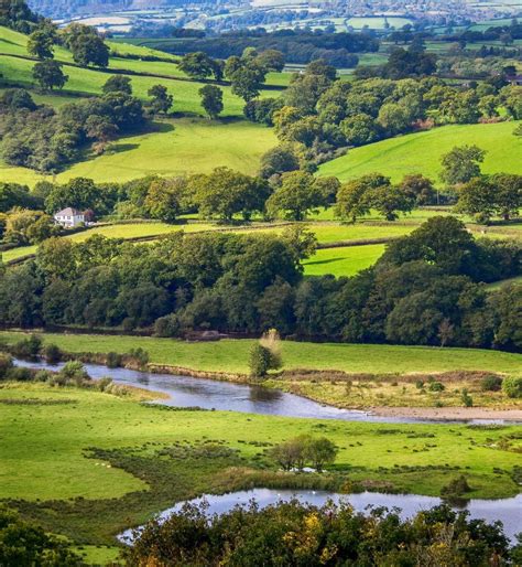 The pristine countryside overlooking the River Tywi in Carmarthenshire ...