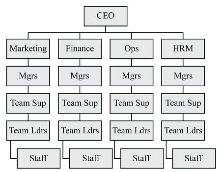 Multidivisional Structure 的图像结果
