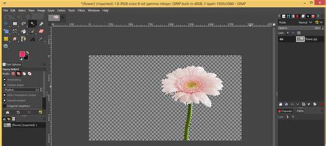 Image result for GIMP Tutorials Eraser
