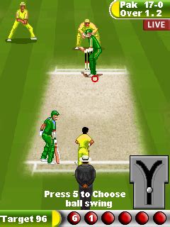 Image result for Cricket Game Java Code