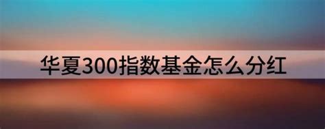 沪深300指数收益率,沪深300指数基金(第2页)_大山谷图库