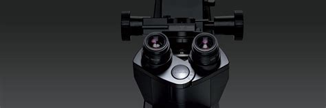 Image result for Nikon Microscope