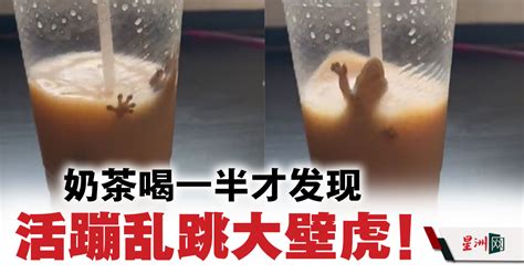 恶心，知名奶茶被曝喝出壁虎_腾讯新闻