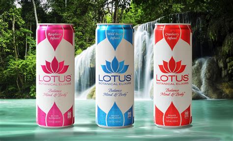 Gold Lotus Energy Drink Recipes - Banana-breads.com