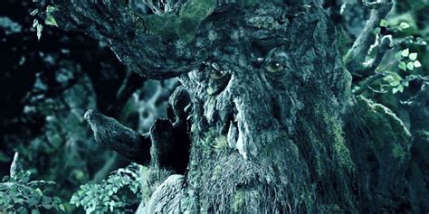 Image result for Lotr Tree Ent