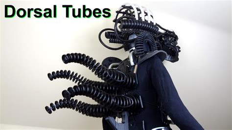 Alien Tail Reference 的图像结果