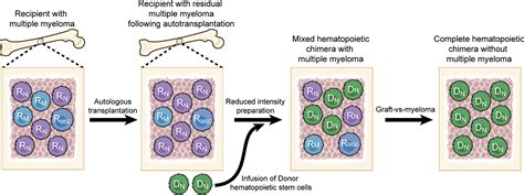 Understanding The Biology Of Blood And Marrow Transplantation