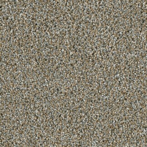 STAINMASTER (Sample) Grant Park Corridor Multi-Colored 42-oz sq yard ...