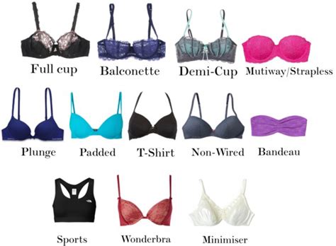Visual Guide to Different Bra Types