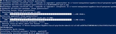 Pip Install PyInstaller 的图像结果