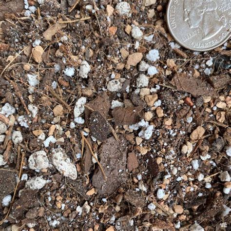 Sol Soils Houseplant Chunky Mix — Green Acres Nursery & Supply