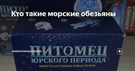 Кто такие морские обезьяны | Аквариумные рыбки | Дзен
