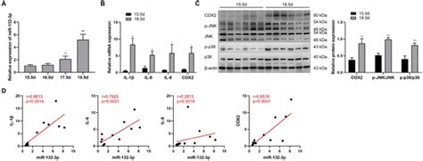 IJMS | Special Issue : Reproductive Immunology and Pregnancy 2.0