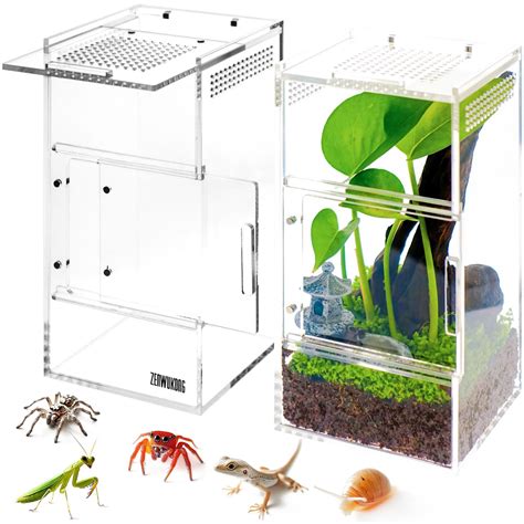 Jumping Spider Enclosure - Acrylic Terrarium Habitat for Spiders, Tarantulas, Snail, Mantis ...