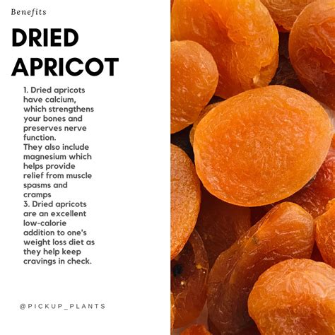 Apricot Dried Benefits - Twin Fruit