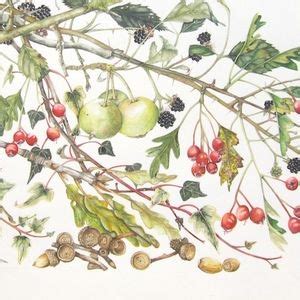 Botanical Art for the Terrified with Lis Bramwell, Poplin Dub ...