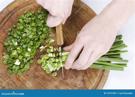 Chopped green onions stock image. Image of group, ingredient - 13797387