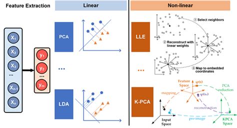 Computational Diagnostic Techniques in Electrocardiogram | Encyclopedia ...