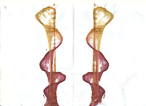 Simple String Painting 的图像结果