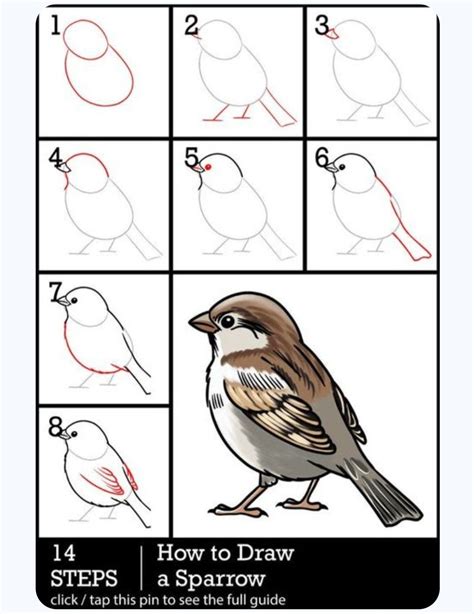 Image result for Drawing Birds Tutorial