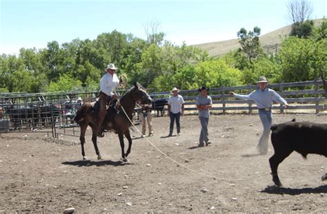 Beginner Roping Lessons 的图像结果
