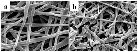 Electrospun Fibrous Scaffolds for Small-Diameter Blood Vessels: A Review