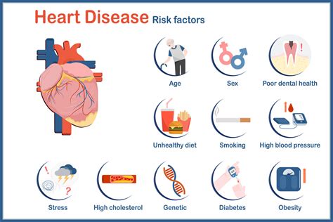 Heart Attack Risk Factors