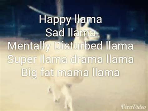 Llama Song Lyrics