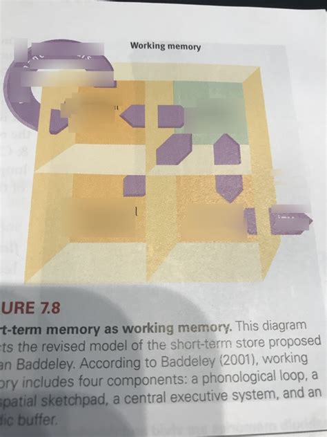 Image result for Working Memory Model Explained