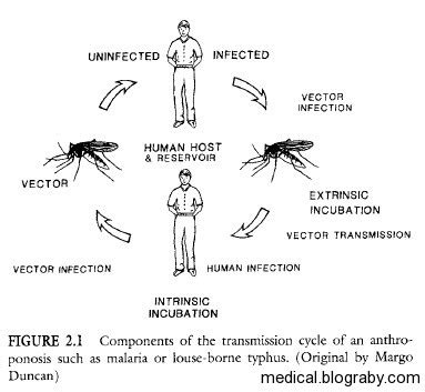 Vector Transmission at Vectorified.com | Collection of Vector Transmission free for personal use
