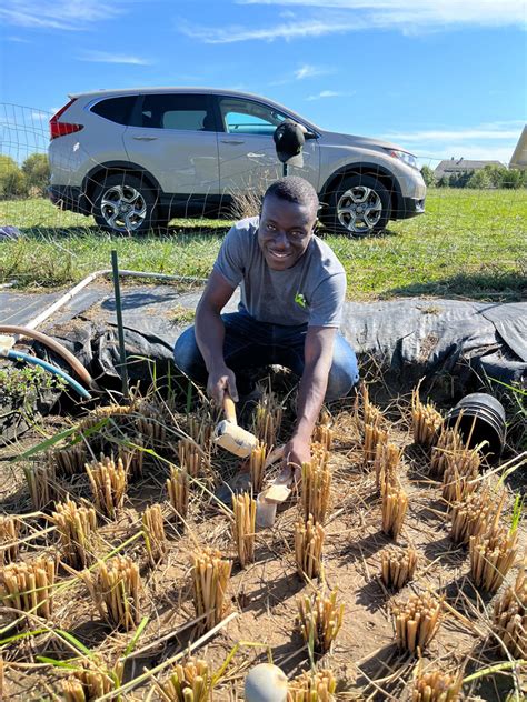 Image result for Jason Bamidele Paystack