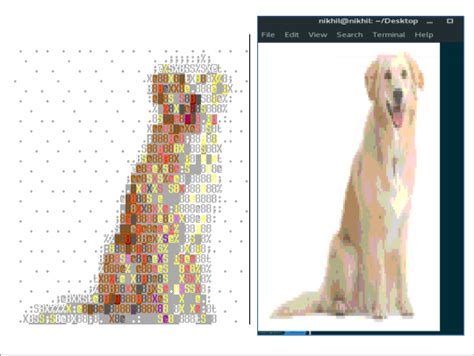 Image result for Linux Python Display Image