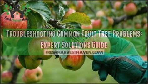 Image result for Fruit Tree Problems