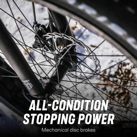 Mongoose Dolomite ALX Fat Tire Mountain Bike, Gray India | Ubuy