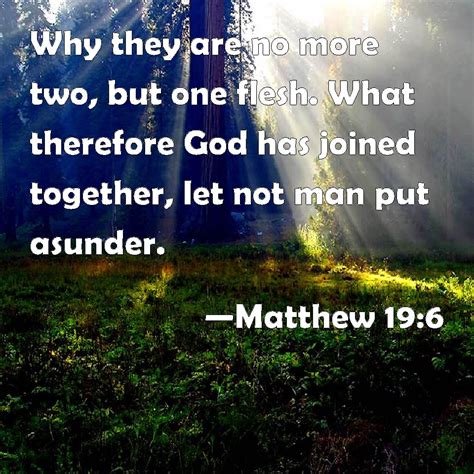 Matthew 19:6 Why they are no more two, but one flesh. What therefore ...