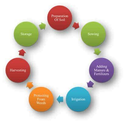 Agriculture Process 的图像结果