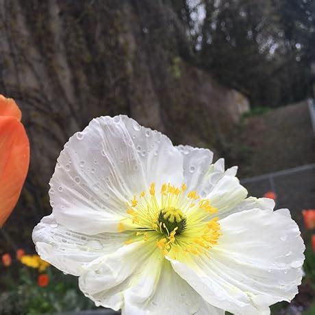 You're So Money: Live Rich, Even When You're Not : Torabi, Farnoosh ...